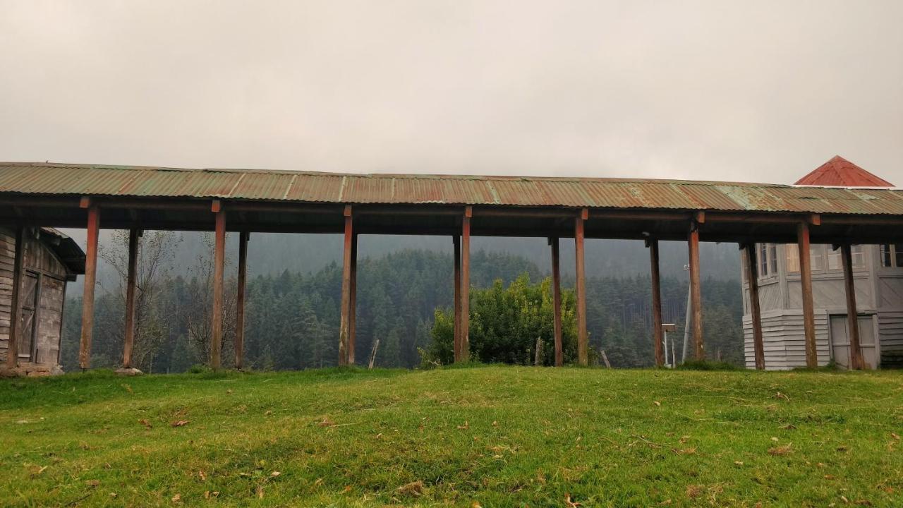 Black Bear Cottage Khajjiar Eksteriør bilde