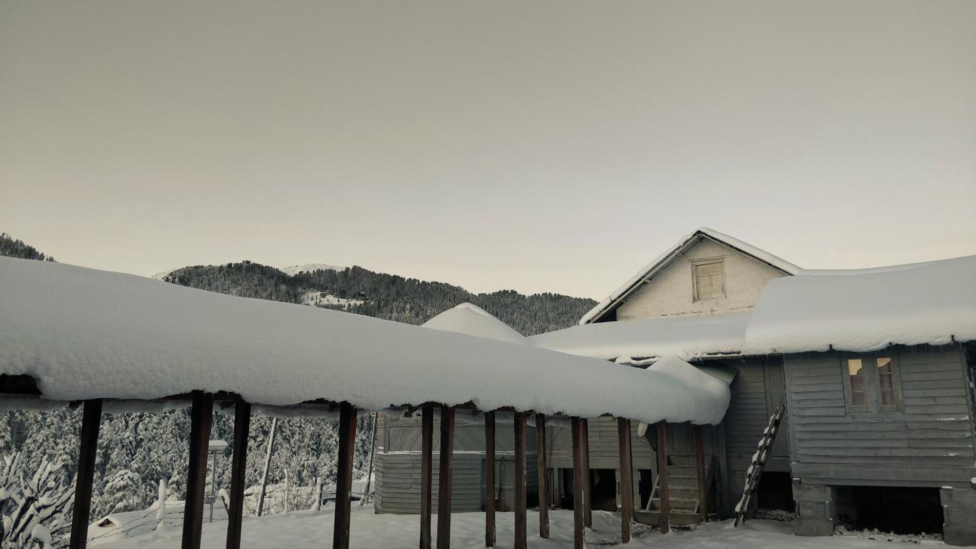 Black Bear Cottage Khajjiar Eksteriør bilde